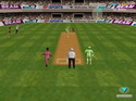 Cricket 97