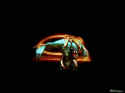 Giants: Citizen Kabuto