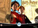 Harry Potter and the Chamber of Secrets