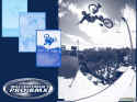 Mat Hoffman's Pro BMX