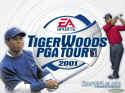 Tiger Woods PGA Tour 2001