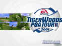Tiger Woods PGA Tour 2001