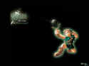 The Legend of Zelda
