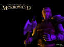 The Elder Scrolls 3: Morrowind