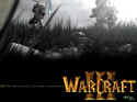 Warcraft 3: Reign of Chaos