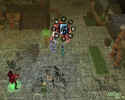 Neverwinter Nights