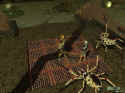 Neverwinter Nights