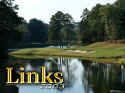 Links 2003