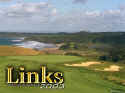 Links 2003