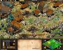 Age of Empires 2: The Conquerors Expansion