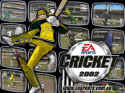 Cricket 2002