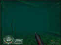Shark!: Hunting The Great White