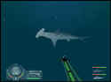 Shark!: Hunting The Great White