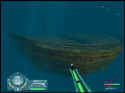 Shark!: Hunting The Great White