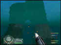 Shark!: Hunting The Great White