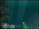 Shark!: Hunting The Great White