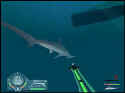 Shark!: Hunting The Great White