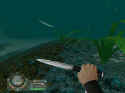 Shark!: Hunting The Great White