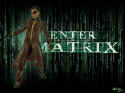 Enter The Matrix