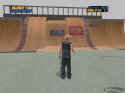 Tony Hawk's Pro Skater 4