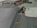 Tony Hawk's Pro Skater 4