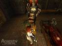 Anarchy Online