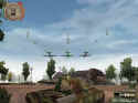 Tiger Hunt