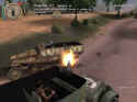 Tiger Hunt
