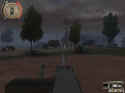 Tiger Hunt