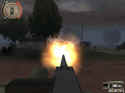 Tiger Hunt