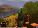 Star Wars Galaxies: An Empire Divided