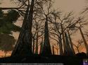 Star Wars Galaxies: An Empire Divided