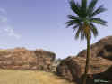 The Egyptian Prophecy: the Fate of Ramses