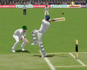Cricket 2004
