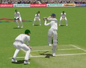 Cricket 2004