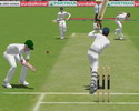 Cricket 2004