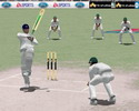 Cricket 2004