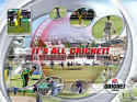 Cricket 2004