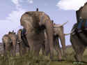 Rome: Total War