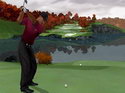 Tiger Woods PGA Tour 2005