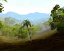 Vietnam: The Tet Offensive