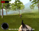 Vietnam: The Tet Offensive