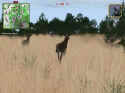 Deer Hunter 2004