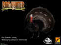 Bird Hunter 2003