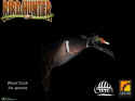 Bird Hunter 2003