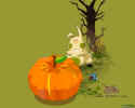 Dofus