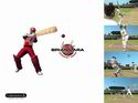 Brian Lara International Cricket 2005