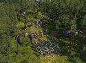 SpellForce 2: Shadow Wars