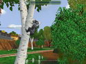 Zoo Tycoon 2: Endangered Species