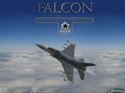 Falcon 4.0: Allied Force